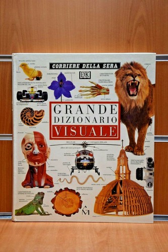 Grande dizionario visuale - grande,
