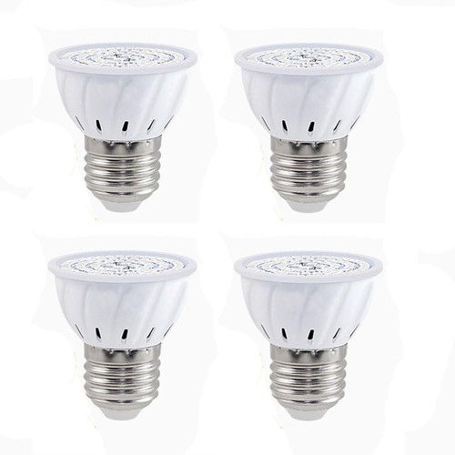 Confezione lampadine - da,