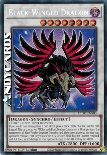 Black winged dragon - black-winged,