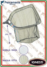 Testa Guadino Ignesti 53x60cm
