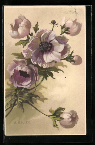 Cartolina artista anna - cartolina,