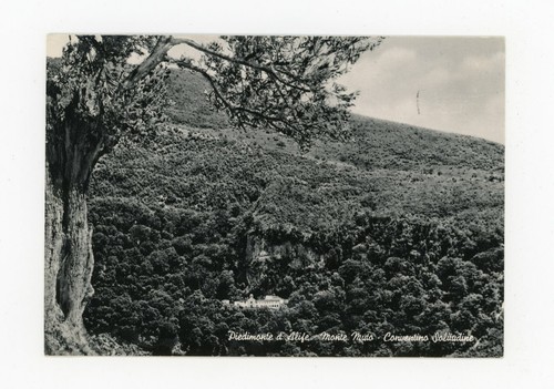 Piedimonte alife monte - -,