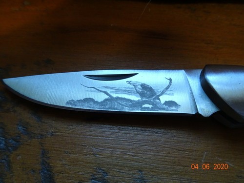 Coltelli elk ridge - coltelli,