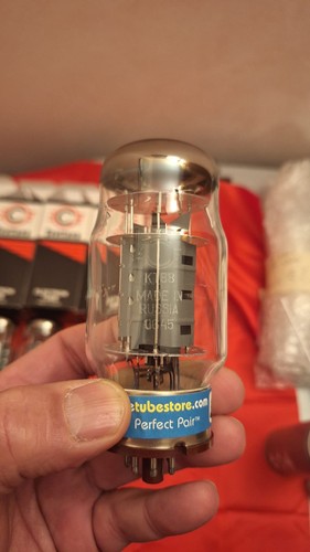 Kt88 winged alata nos - kt88,