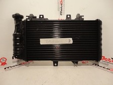 Radiatore Acqua Water Radiator Kuhlerlufter BMW F 800 R S 05 14