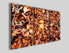 Quadri foglie Tapete of