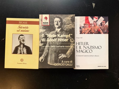 Lotto libri nazismo - libri,