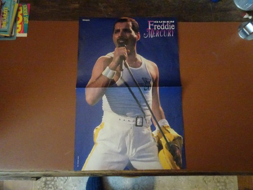 Bravo poster freddie - ++,