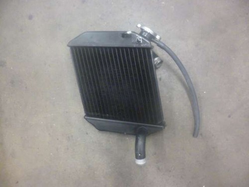 Radiatore buell - (radiatore),