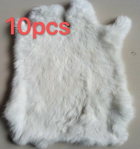 Pezzi vera pelliccia di - 10,