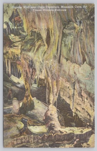 Cartolina mammut cave - mammut,