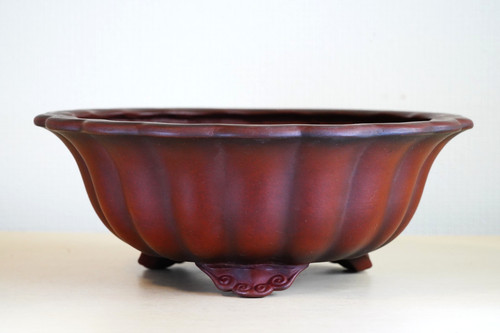 Vaso bonsai giapponese - bonsai,