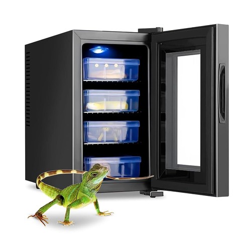 Incubatrice per uova rettili