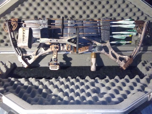 Hoyt compound bow - compound, multi-color