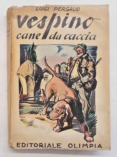 Pergaud vespino cane - pergaud,