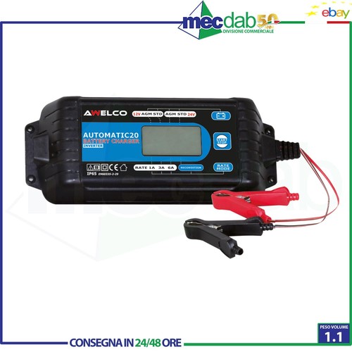 Caricabatterie inverter - caricabatterie,