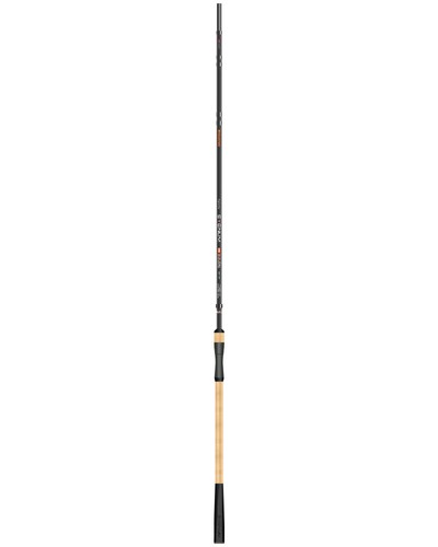 Canna sygnum mini - canna,
