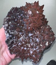 Grappolo calcite denti - di,
