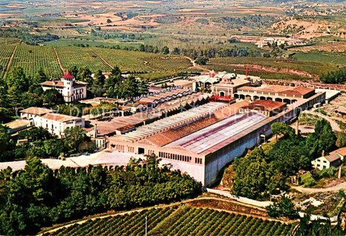 Cavas codorniu exteriiores - codorniu, vue