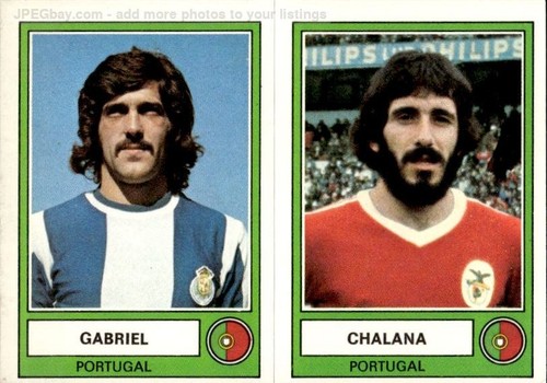 Figurina panini euro football - figurina,