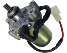 Go Kart Rotax Max Motore di