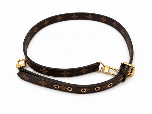 Louis vuitton monogram - louis,