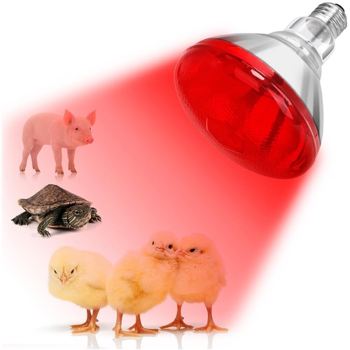 Datoo lampadina lampada - datoo,