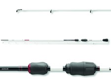 DAIWA TD Trout Area Com. Canna