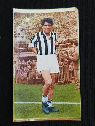 Calciatori lampo 1960 61 - ***,