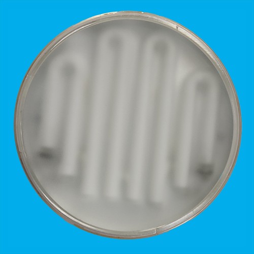 20w gx70 cfl - 20w, lampadina