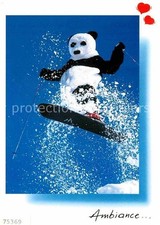 Sci Monoski Pandabär 