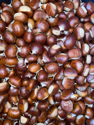 Castagne appena raccolte - castagne,