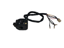 Left Switch Yamaha Sr 250