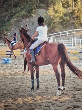 abbigliamento equitazione Taglia M