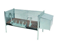 GABBIA CONIGLI UNA FATTRICE cm