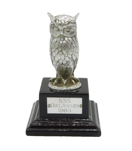Gufo argento sterling fuso - gufo, in