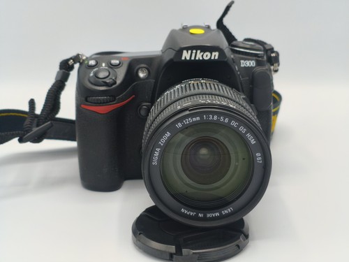 Nikon d300 con - (5.216, shot)