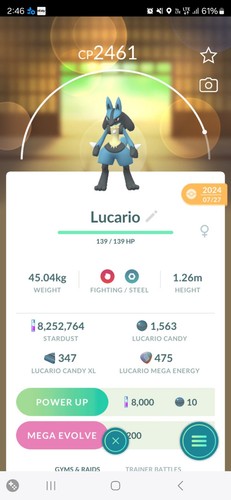 Lucario pokemon per - per, pvp