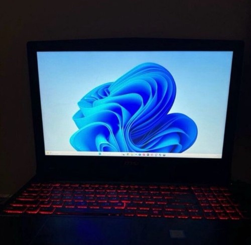 Portatil gaming msi - portatil,