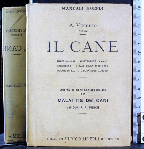 Cane vecchio ulrico - cane.,