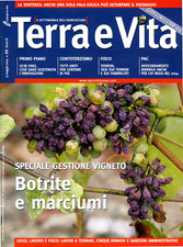 Terra vita n 20 17 - terra, n°20