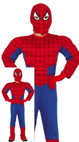 Guirca costume spiderman - costume,