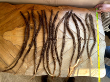 Natural human hair dreadlocks
