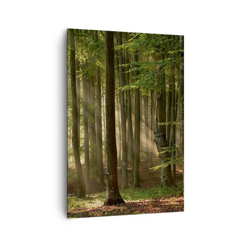 Quadro tela 70x100cm - quadro,