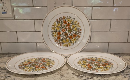 Set piatti vintage corelle - set, 3