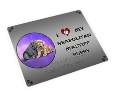 I Love My Napoletan Mastino