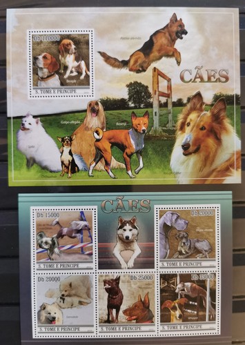 Cani 2010 sao - cani,