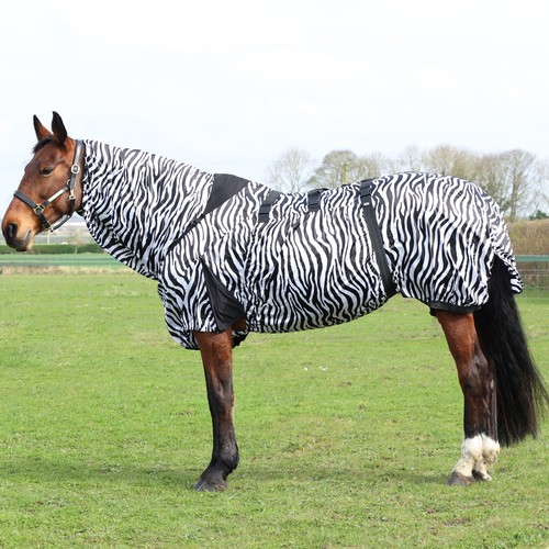Equestrian stormx tappeto - hy,