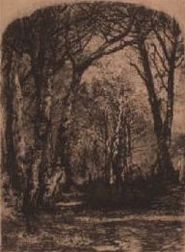 Mosè bianchi bosco - mosè,