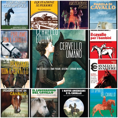 Equitazione ippoterapia - equitazione,